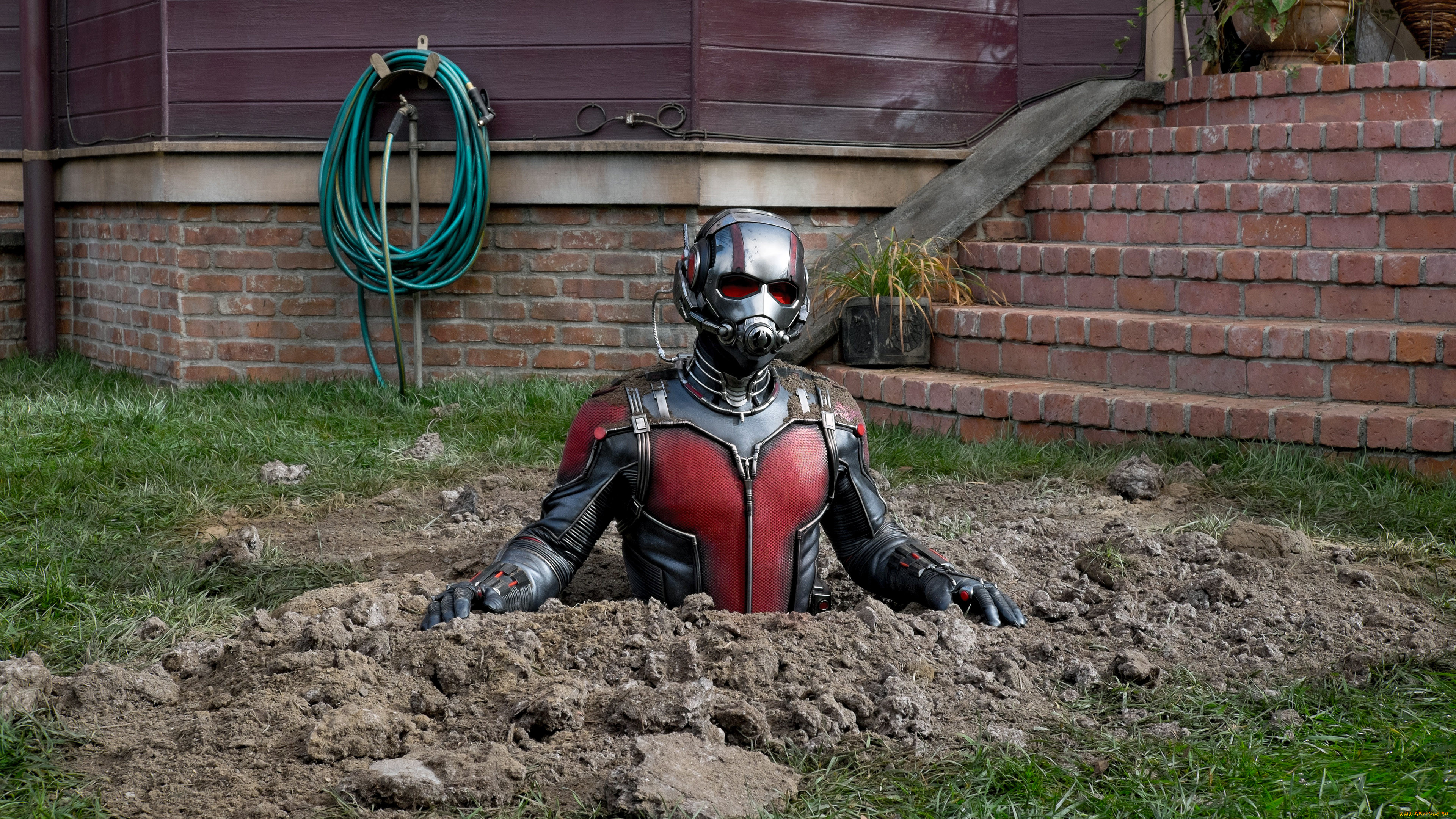 ant-man , 201,  , ant-man, marvel, comics, ant, man, paul, rudd, , , , eoe, e, , 